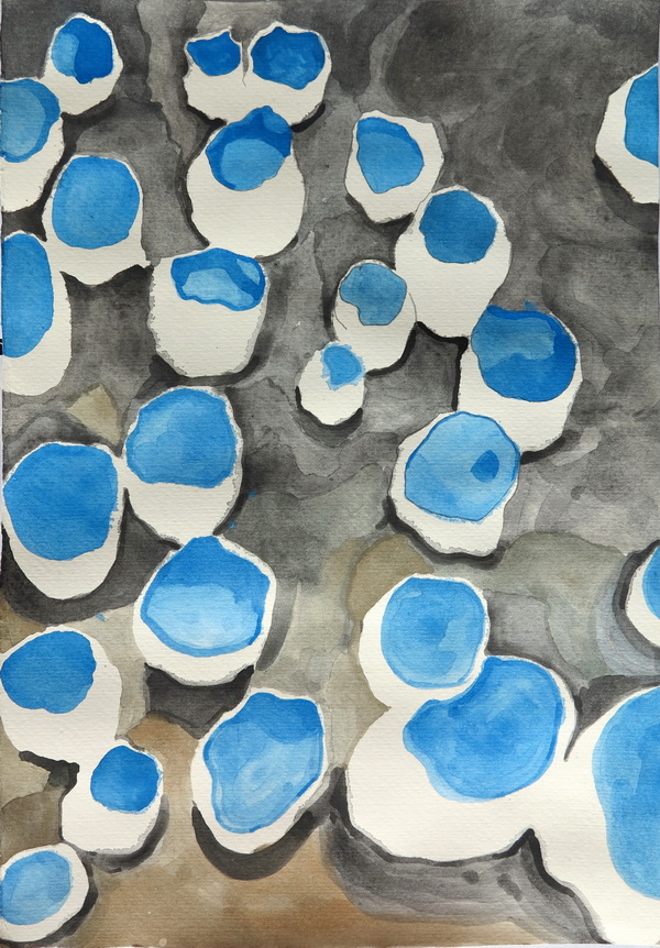 习作《一地皿》水彩，纸本，38×27cm，2015年