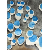 习作《一地皿》水彩，纸本，38×27cm，2015年