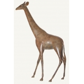 皇家长颈鹿Giraffe, Imperial
