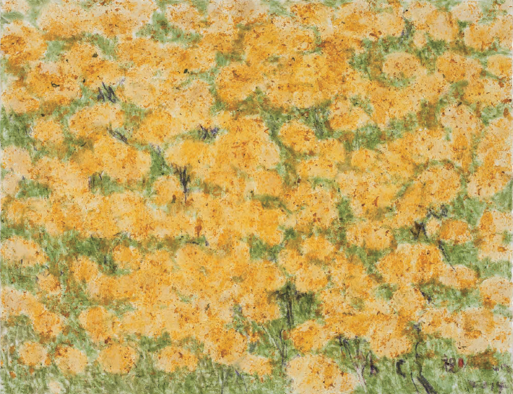 节日花坛组画之四  纸上自然物质 75x96cm 2014 