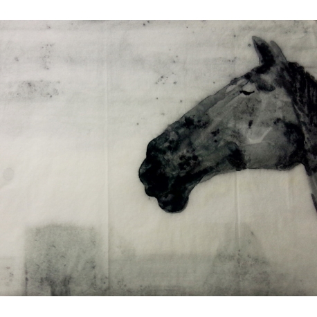 一匹幸福的老马 67x67cm 纸本水墨 2014