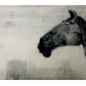 一匹幸福的老马 67x67cm 纸本水墨 2014