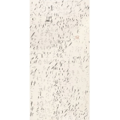 Needle script, Army Hospital   儀器針直散字   248 x 123