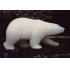 北极熊Polar Bear