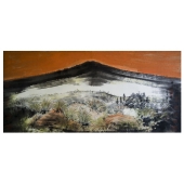 王龙（天朗山浑 染苍穹11）中国画，80cmx30cm