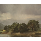 20,After Storm,2008,20