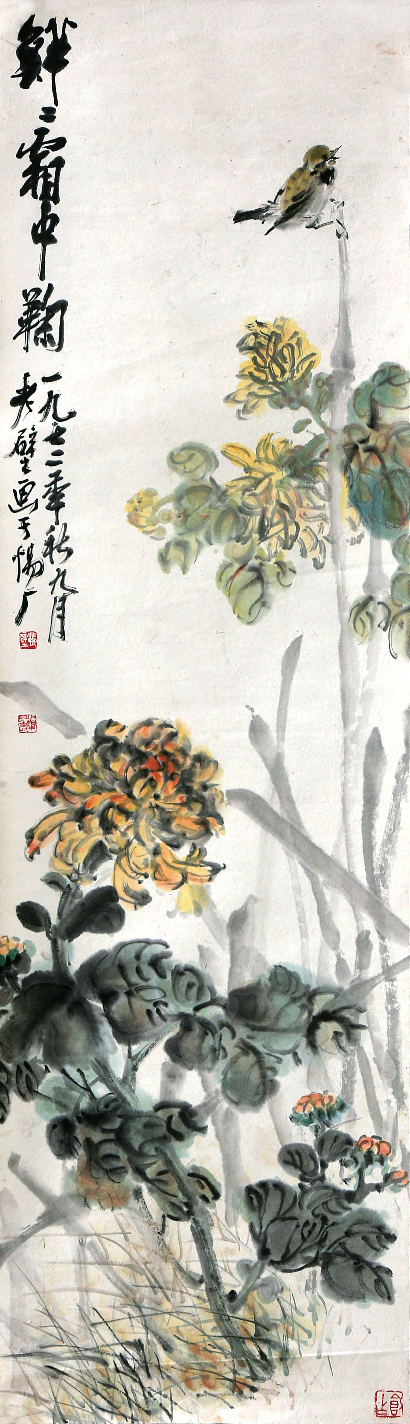 鲜鲜霜中菊