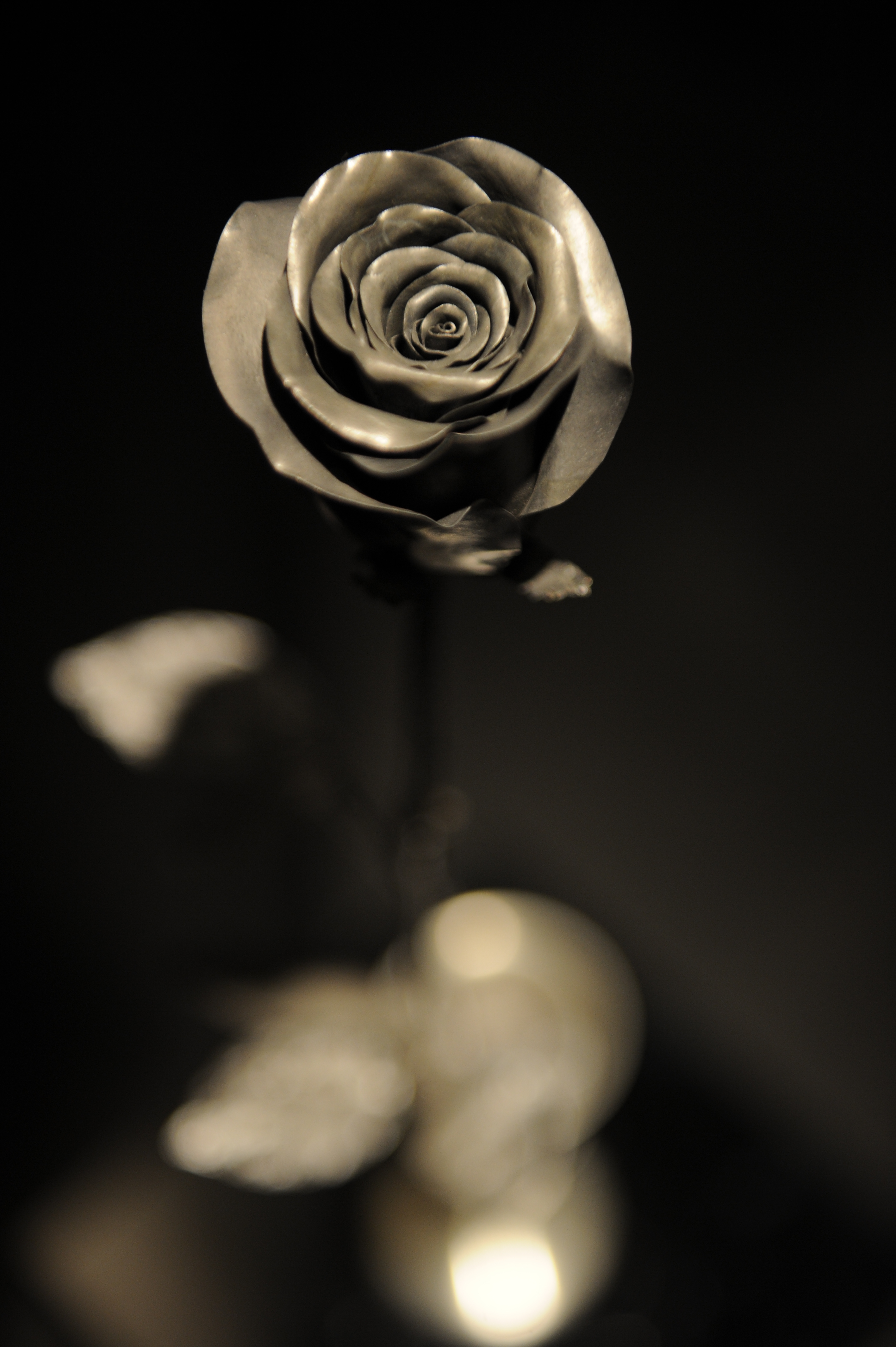 瓶装玫瑰Rose