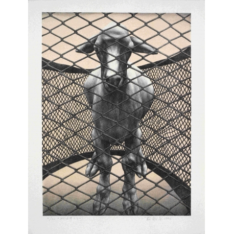 网中之羊之一　58×43cm1992 石版 (4)