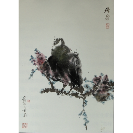 25-鹰（42x68）