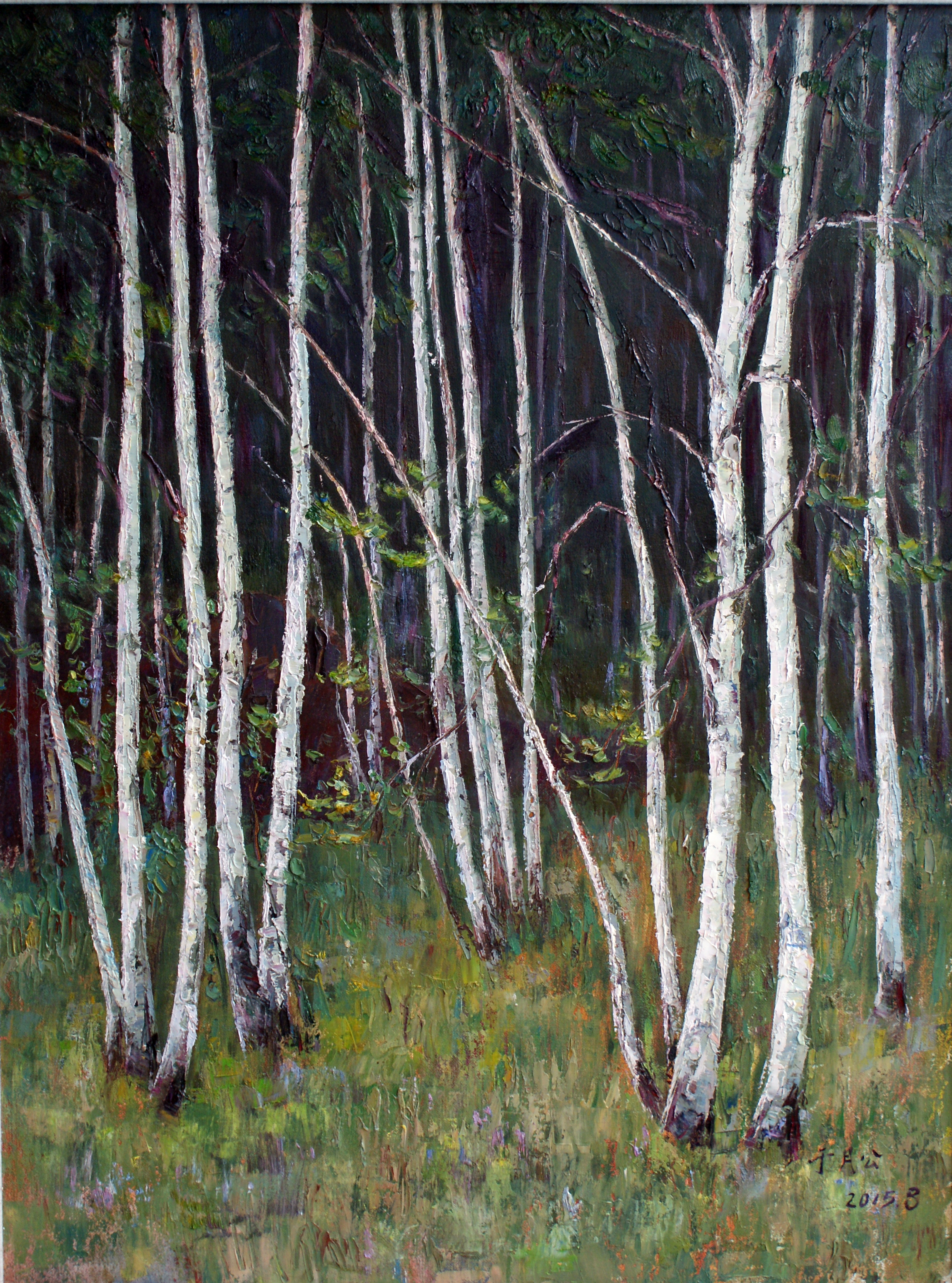 白桦林，布面油画，2015,60X80cm