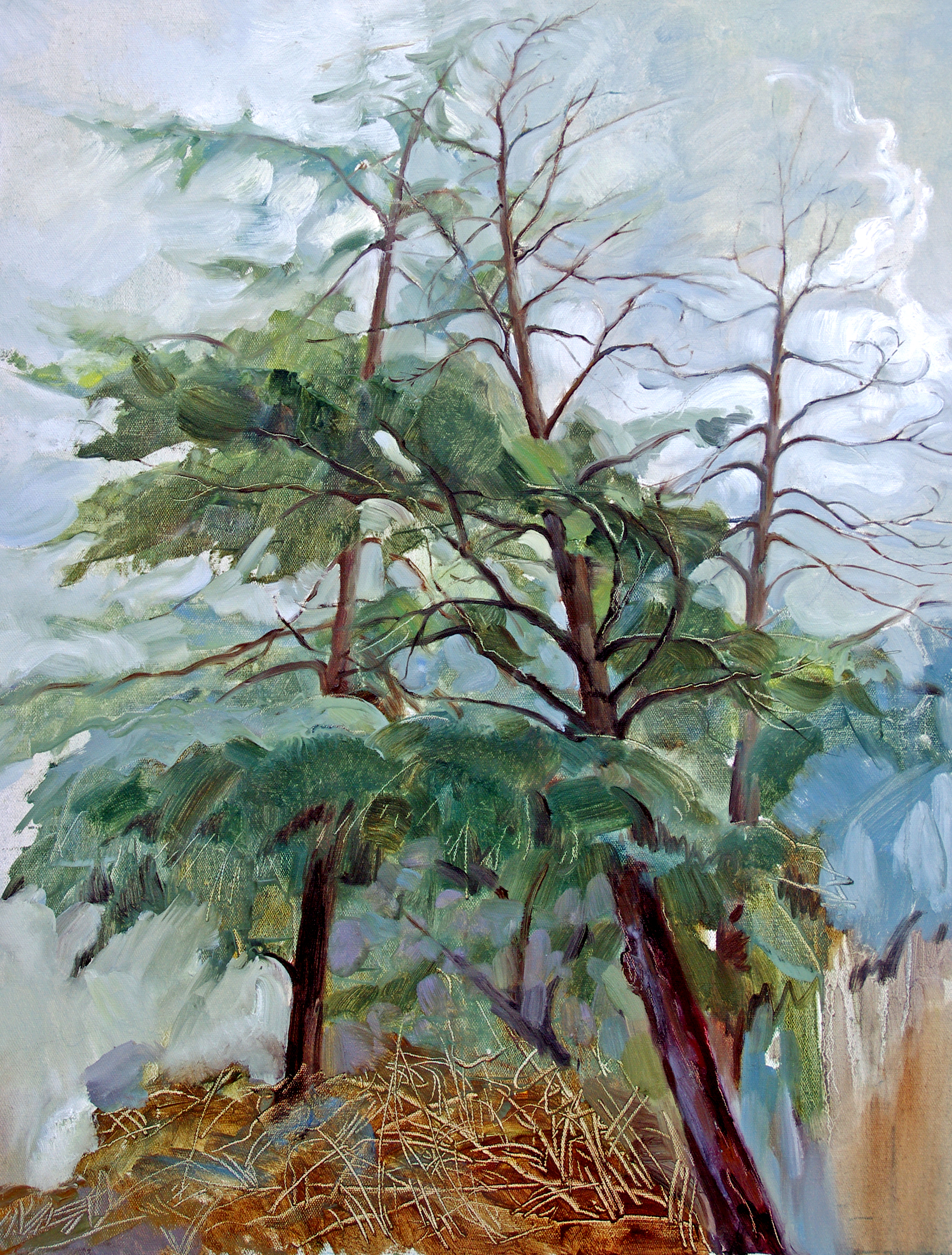 布面油画《三棵松树》60×80 2014