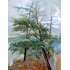 布面油画：《三棵松树》60×80 2014