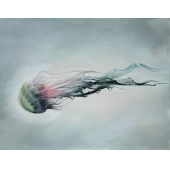 水母Jellyfish