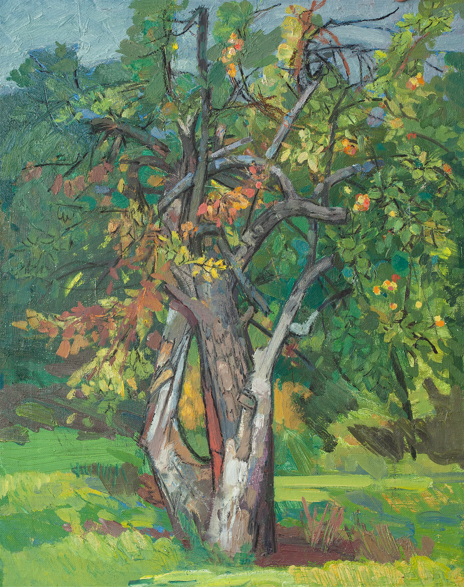 俄罗斯油画《苹果树》