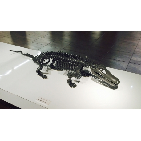 Mimicry (crocodile)