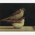 鸟上鸟,Bird on Bird,22x28cm,acrylic and oil on canvas