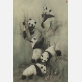 大熊猫6