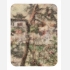 景物·园林卷：1602