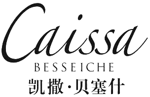 凯撒贝塞什（亚洲）艺术中心logo