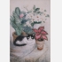 貓與盆花 1964