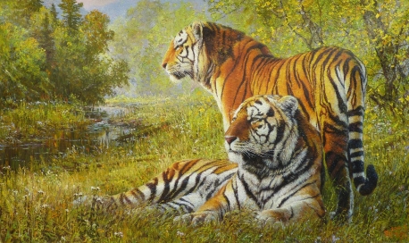 【朝鲜油画】老虎