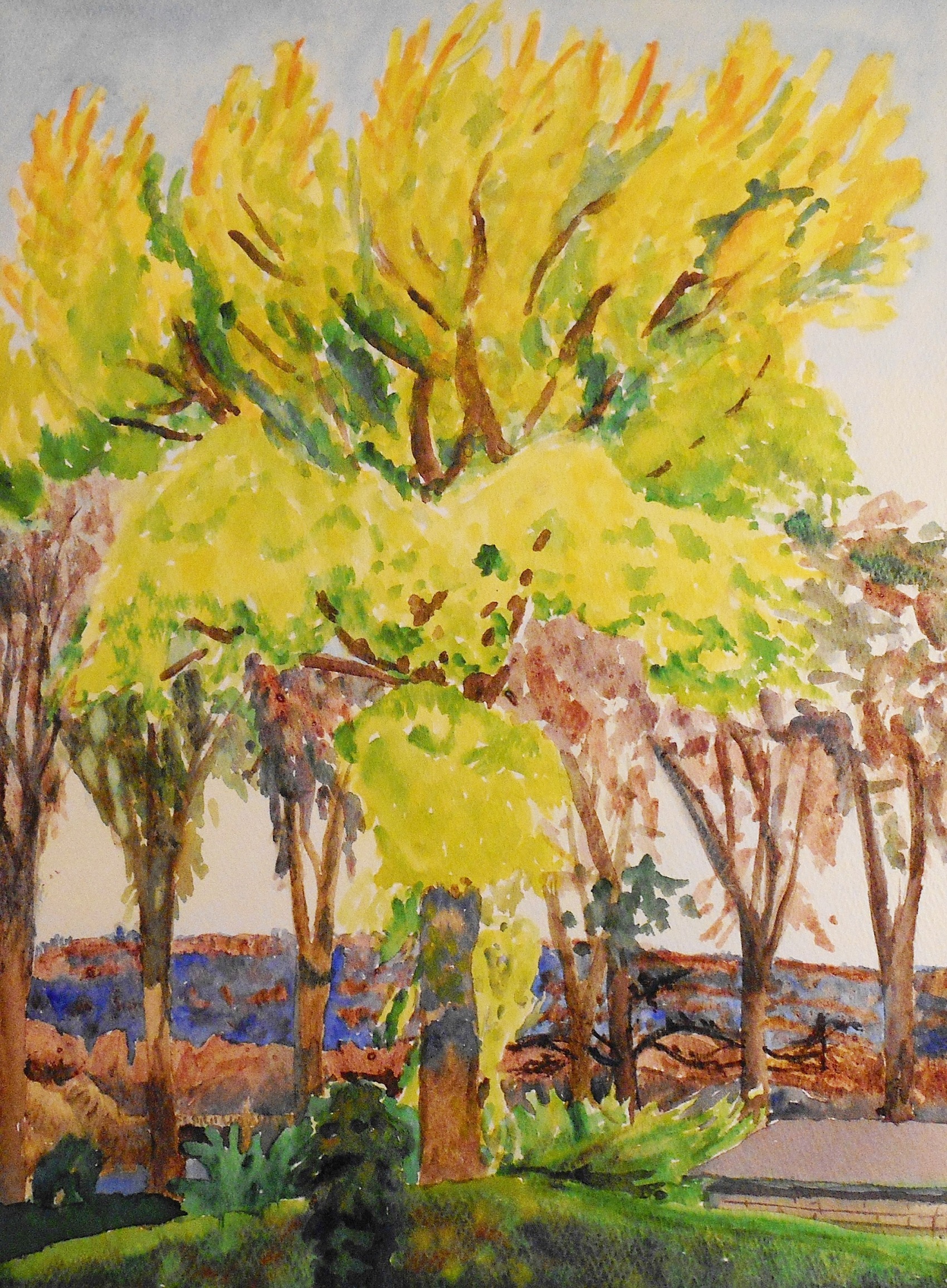 Trees with yellow-green leaves