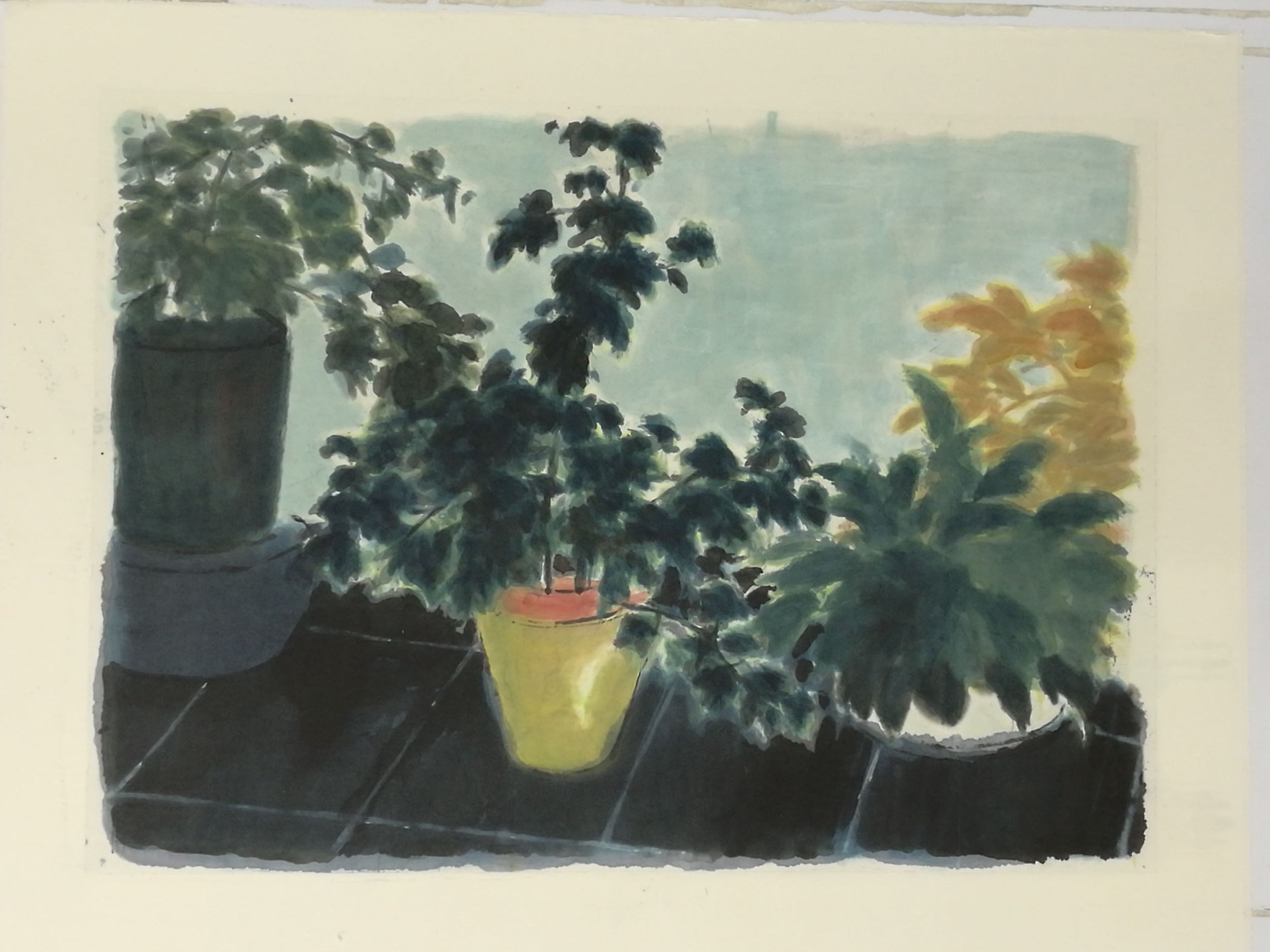 邬一名Wu Yiming 《阳台上的植物系列》The Plant on the Balcony-Series  84×118cm  纸本设色Ink and Color on Paper  2016