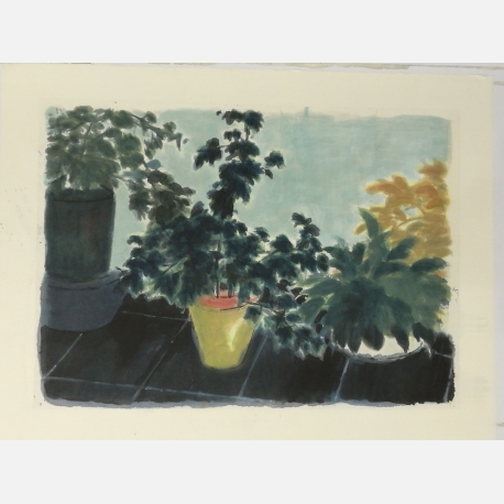 邬一名Wu Yiming 《阳台上的植物系列》The Plant on the Balcony-Series  84×118cm  纸本设色Ink and Color on Paper  2016