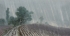 【朝鲜水墨画】雨中的田野