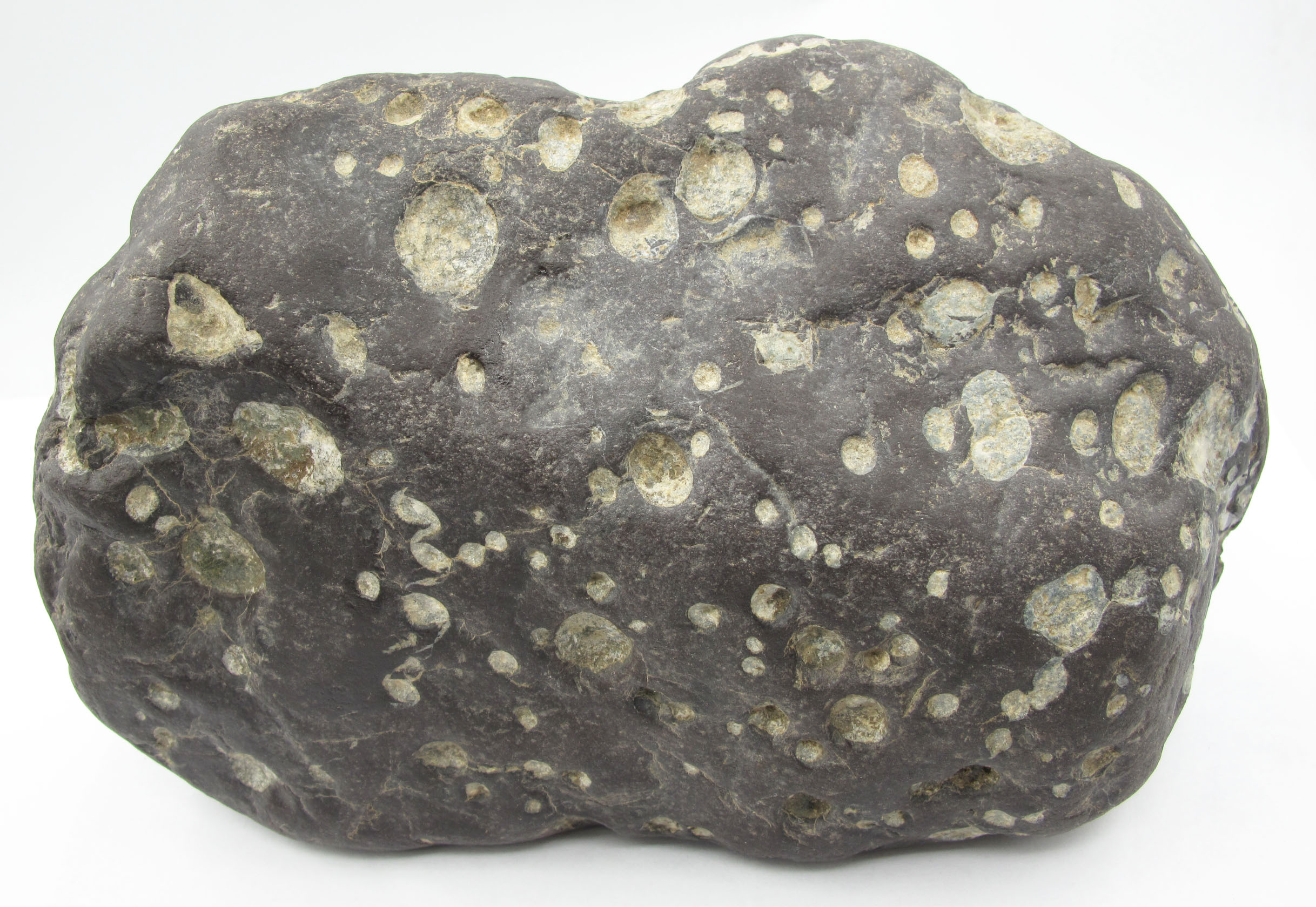 新疆石陨石