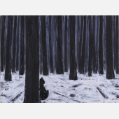 《被延长的冬天》，布上油画，60X80cm ，薛扬，2017年