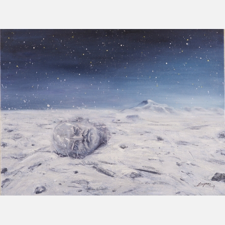 《那些被雪藏起来的秘密》，布上油画，60X80cm ，薛扬，2017年