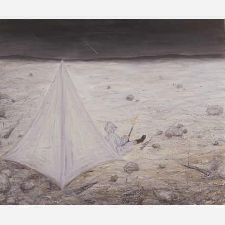 《有流星划过》，布上油画，100X120cm ，薛扬，2017年