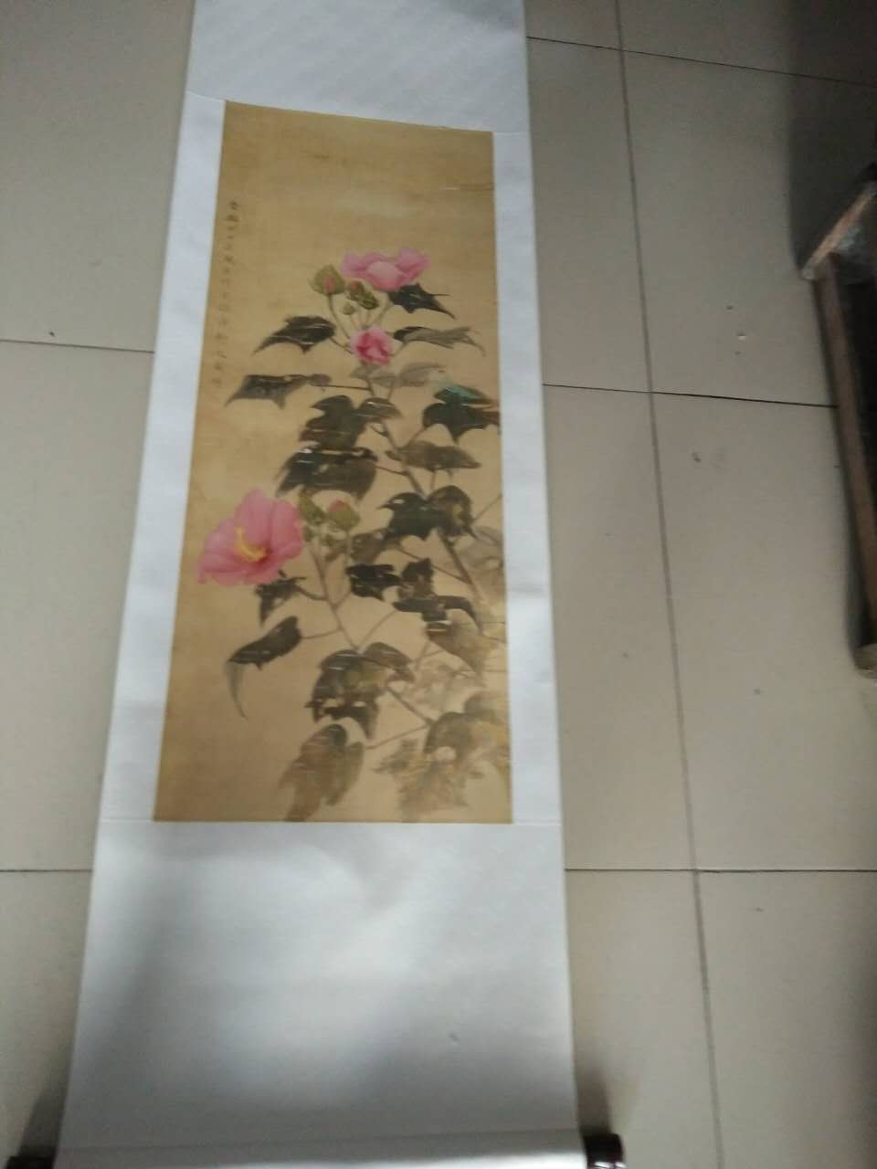 吴规臣 清代江苏金坛 师从恽寿平 花卉条幅，尺寸95-38cm