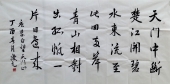 王庆元书法8平尺