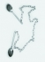 李维伊 日常物件 2017 金属链，勺子 250cm