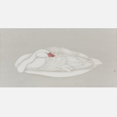 白鸟 45×88cm 纸本设色 2017