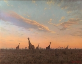  夕阳下的长颈鹿