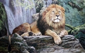 动物系列《狮子》