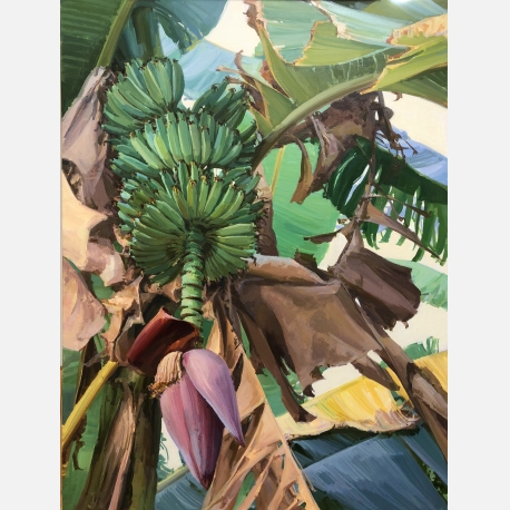 4-《蕉蕾之五》2017-18 油彩 麻布 80X60 cm