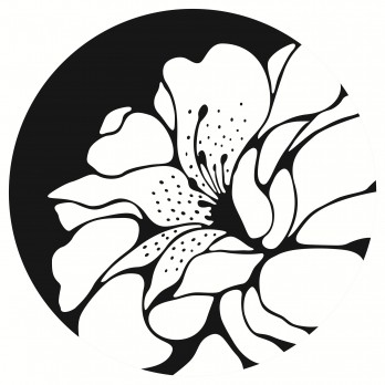 星朝美术馆logo