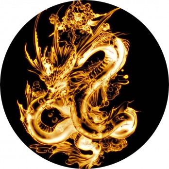 扬唐国际logo