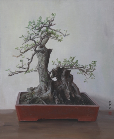 盆景-白蜡布面油画2016年50,60厘米