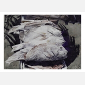 《咸鱼翻身》饶国安 2012年  水彩  尺寸53cm×37cm
