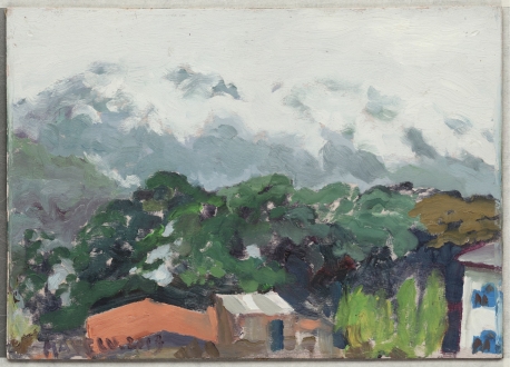 博卡拉的云雨，木板油画，