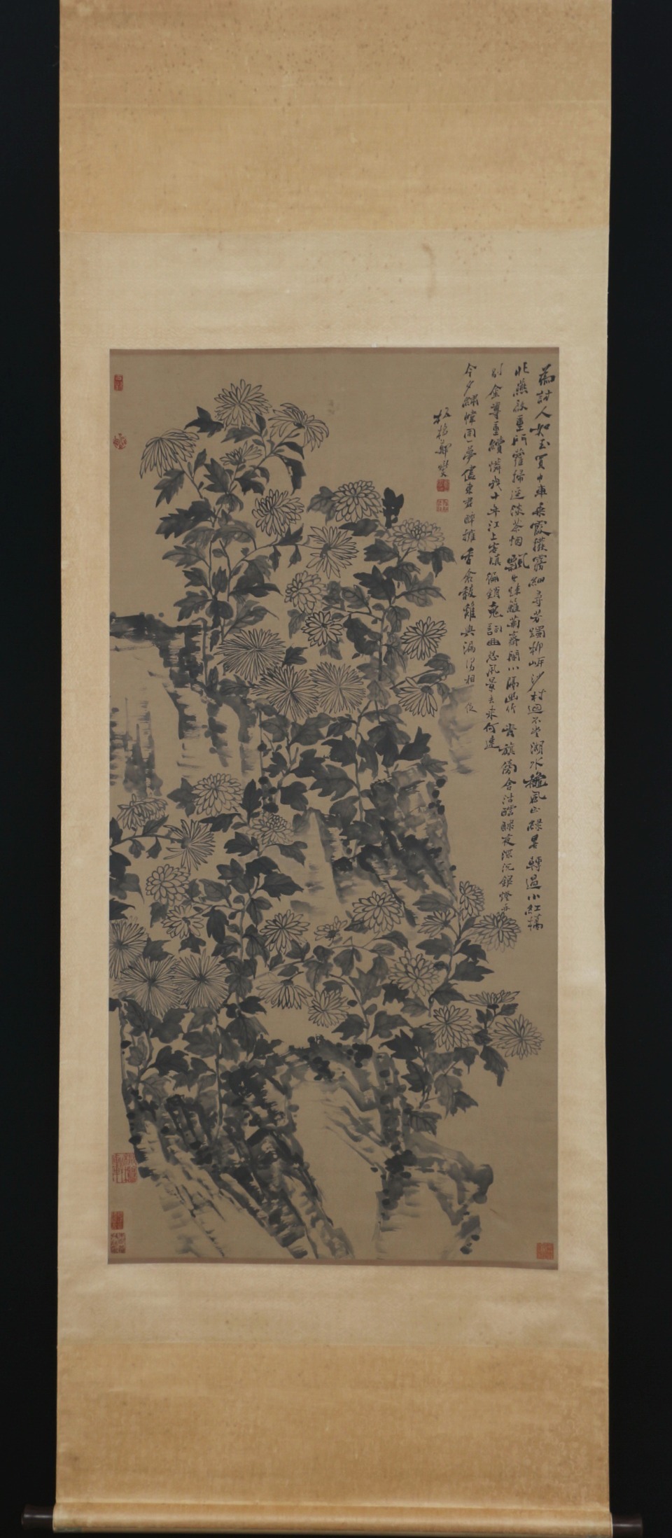 菊花山石图