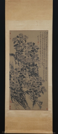 菊花山石图