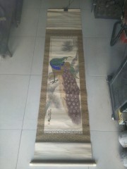 清代四川丹棱名人，彭晹 ，孔鸟绢本条幅，尺寸117-35cm