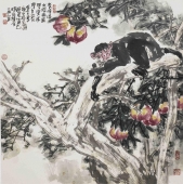 杨世伦 花鸟画《猴子蟠桃》68x68cm